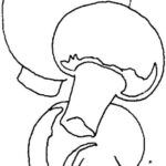 1438_agaricos-dibujos-para-colorear