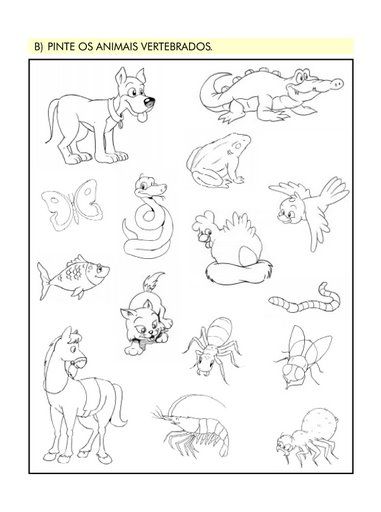 COLORIR ANIMAIS VERTEBRADOS