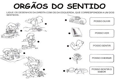 CLASSIFICANDO OS SENTIDO