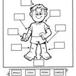 1916_Partes252520do252520corpo252520-Auto252520ditado