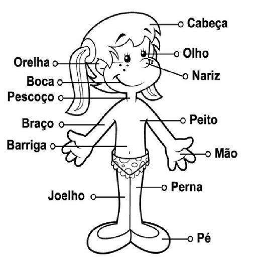 partes%20do%20corpo%20humano.jpg