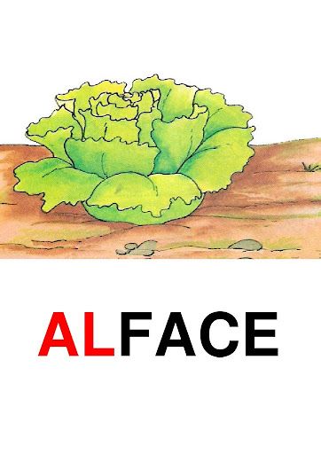 Microsoft Word - PAINEL DAS DIFICULDADES ORTOG COLORIDO0008.jpg