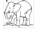 2403_Microsoft2520Word2520-2520NUMERAIS2520ANIMAIS-2520125C325802520102520PARA2520PAREDE0001