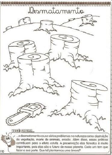 Atividades Meio Ambiente