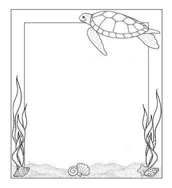 frame_turtle.jpg