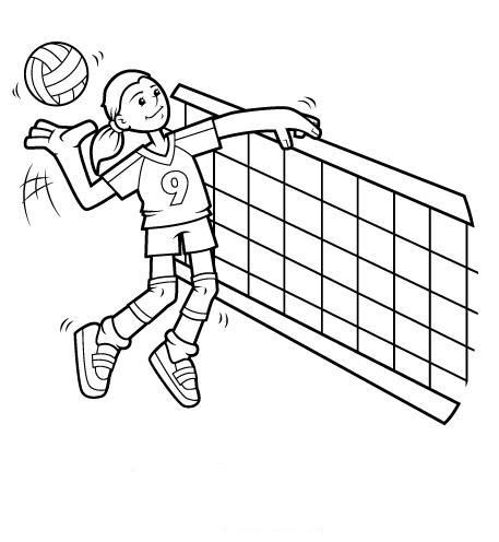 volei.JPG