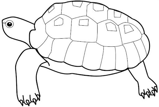 268.jpg