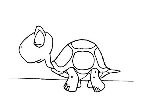 tortuga-t12216.jpg