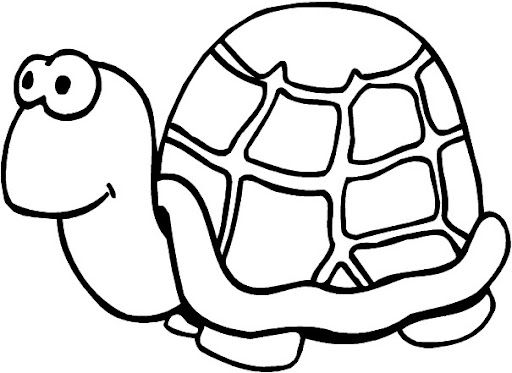 tortuga008.jpg