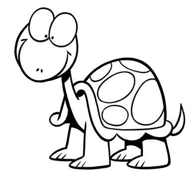 tortugas2.jpg