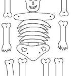 338_Caveira_Articulada