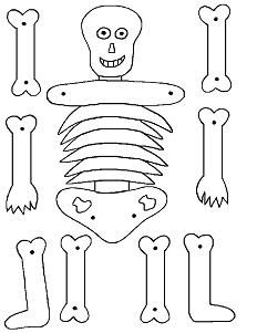 Caveira_Articulada.JPG