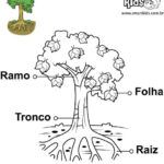 370_partes_arvore.gif