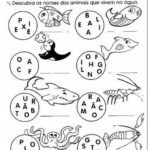 372_descubra2520-2520animais2520aqu25C325A1ticos