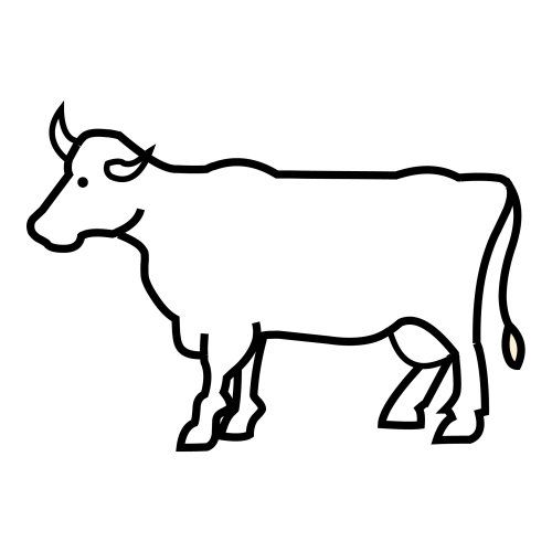 VACAS COLORIR DESENHO VACAS